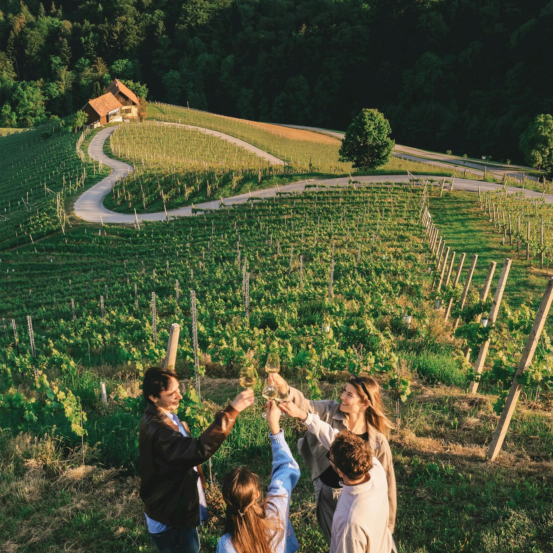 Sunset Wine Experience